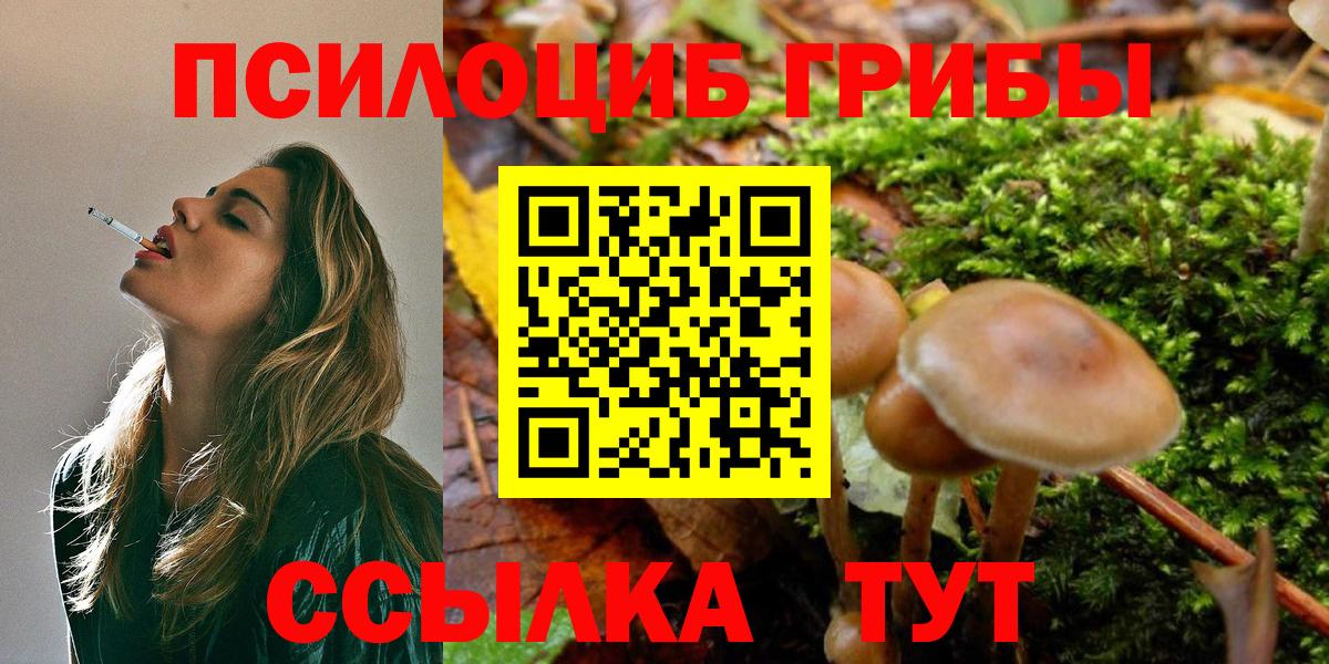 Псилоцибиновые грибы MAGIC MUSHROOMS  Вход с VPN  где найти   Сертолово 
