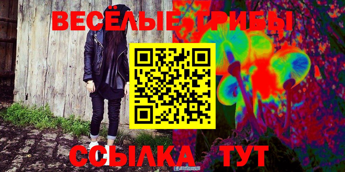 Псилоцибиновые грибы Psilocybe Сертолово